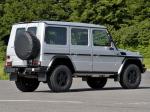 Mercedes-Benz G300 CDI Professional 2010 года